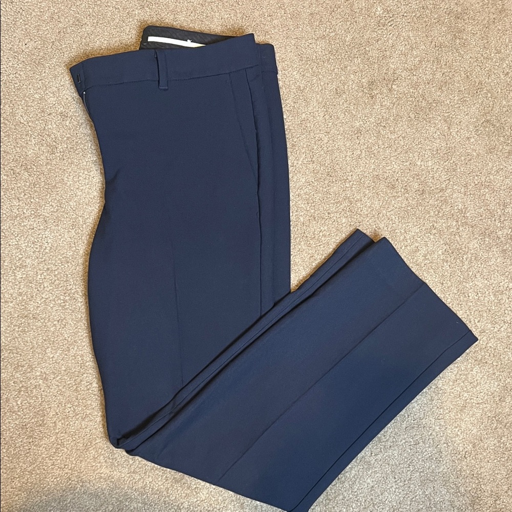 Ann Taylor Women’s Deep Blue Dress Pants Curvy Size 6